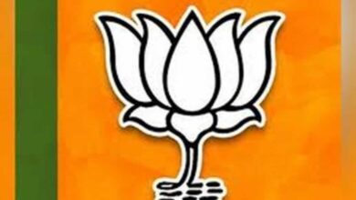 Lok Sabha Elections: BJP may declare candidates on these seats first...