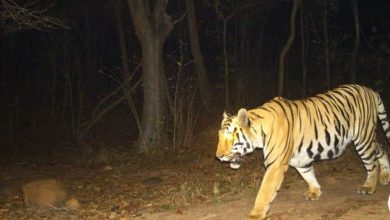 Local villagers attending awareness program on wildlife conservation in Chhattisgarh